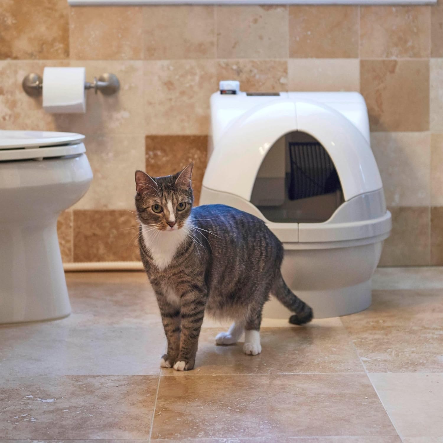 Catgenie A.I. Deluxe Automatic Self-Cleaning and Fully-Flushing Cat Litter Box